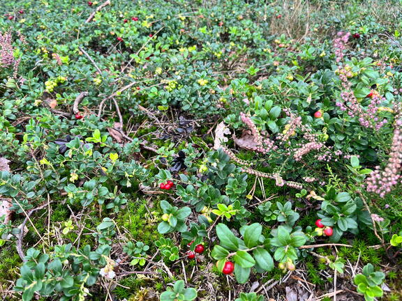 23-09-18 14-21-57 7051